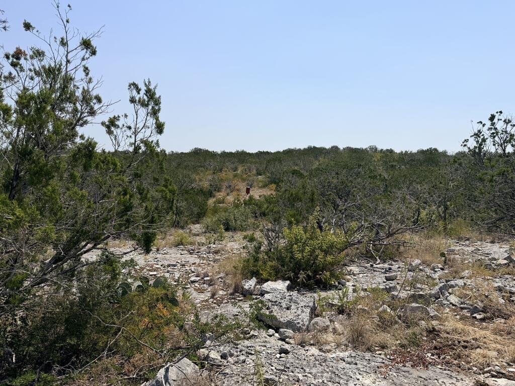 Picture 32