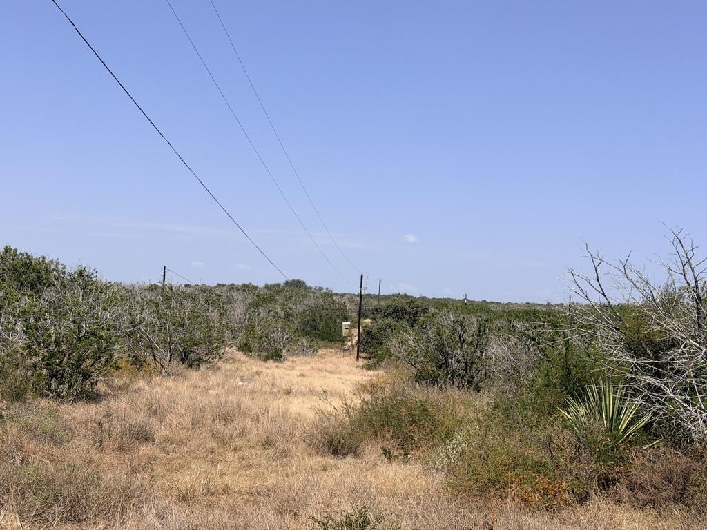 Picture 26