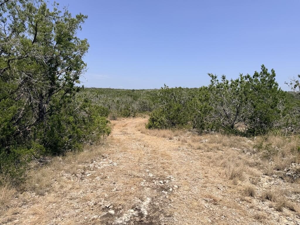 Picture 25