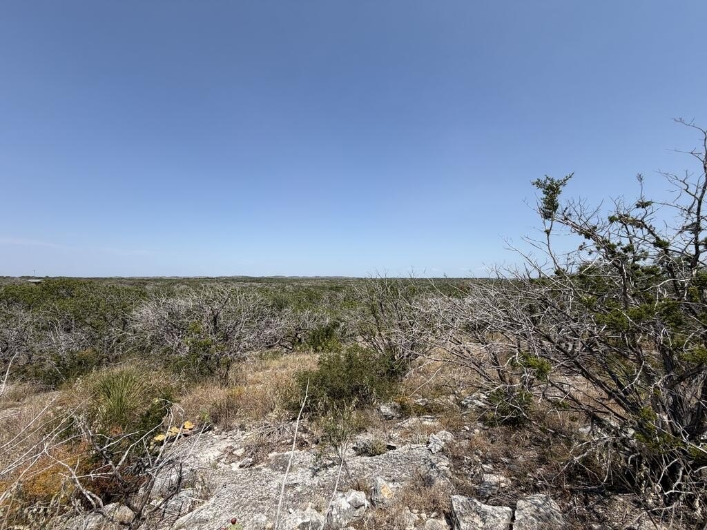 Picture 31