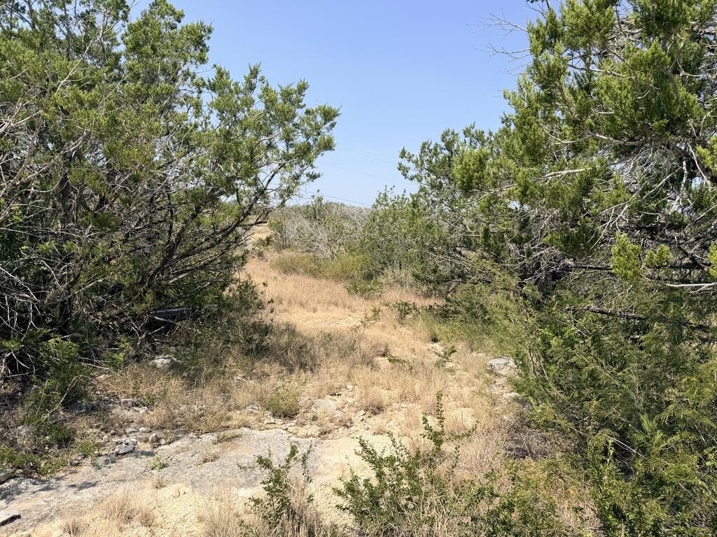 Picture 17