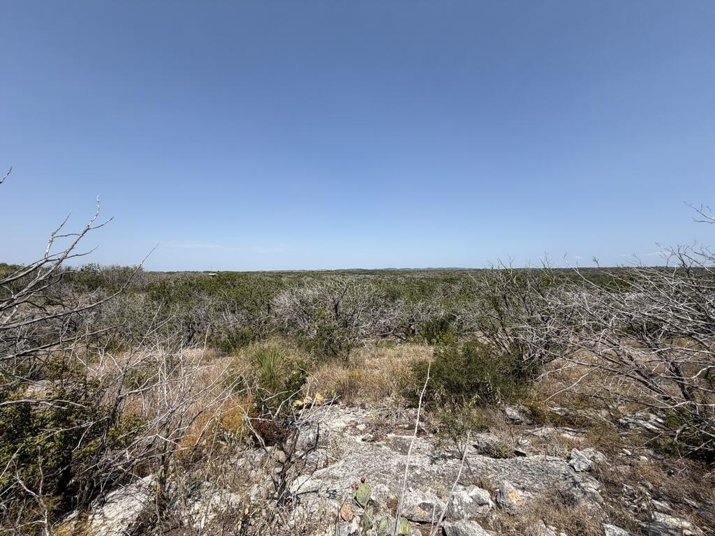 Picture 30