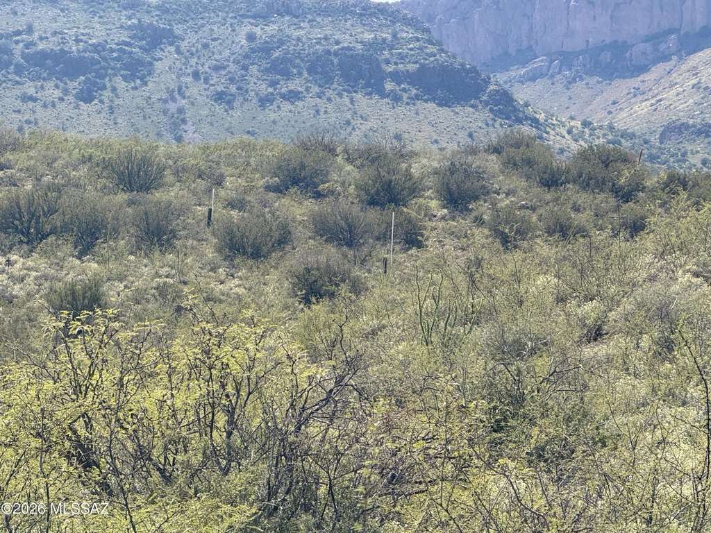 Picture 34