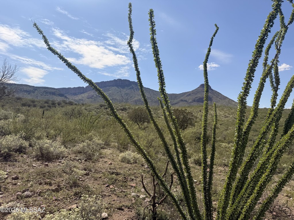 Picture 25