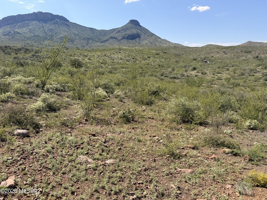 Picture 35
