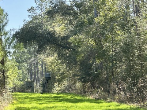 355 Acres of Florida Wilderness