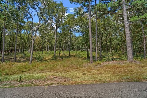 Residential Lot in Cagle Rock