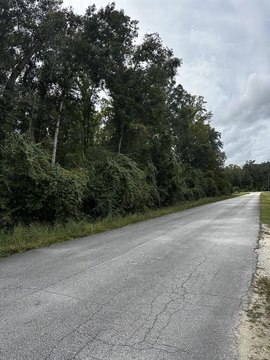 Land, Old Town, FL