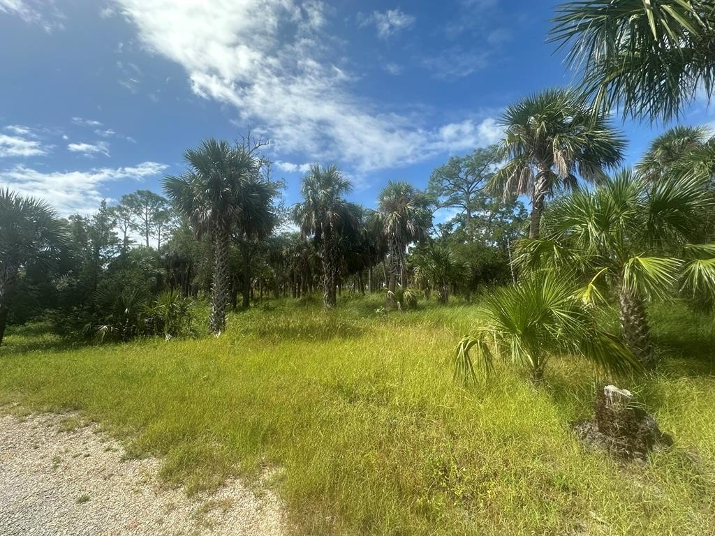 Picture 18