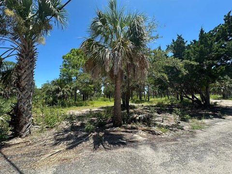 Waterfront Lot in Cedar Key