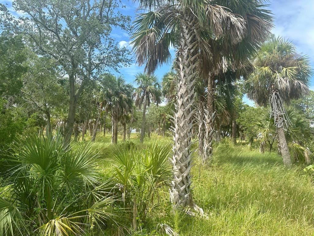 Picture 15