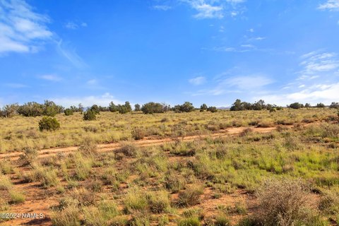 Land Near Grand Canyon