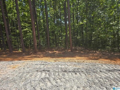 LAND/LOTS, MCCALLA, AL