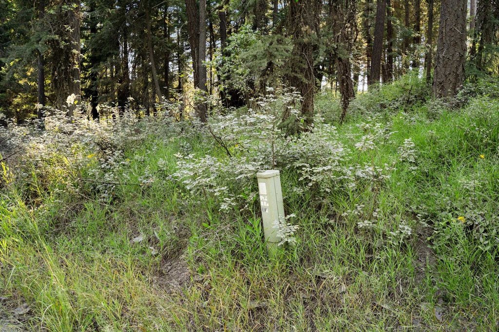 Picture 25