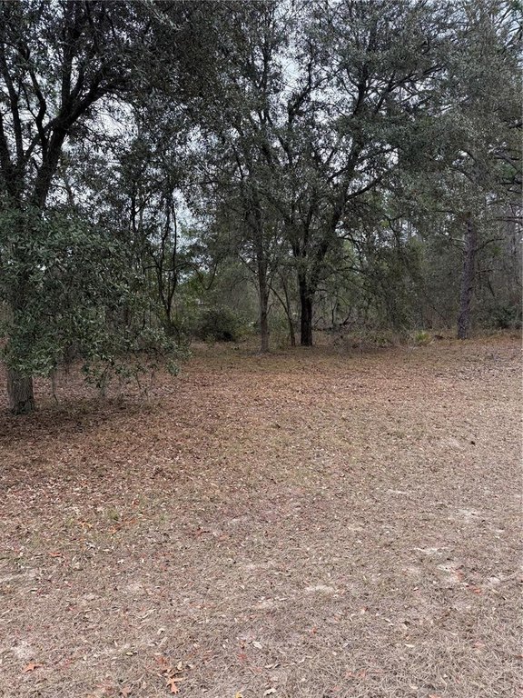 Picture 6