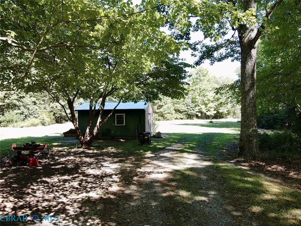 Picture 11