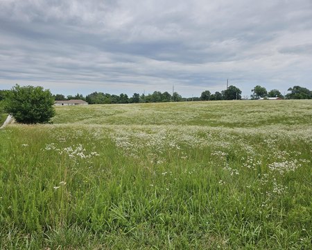 LAND - Goodman, MO
