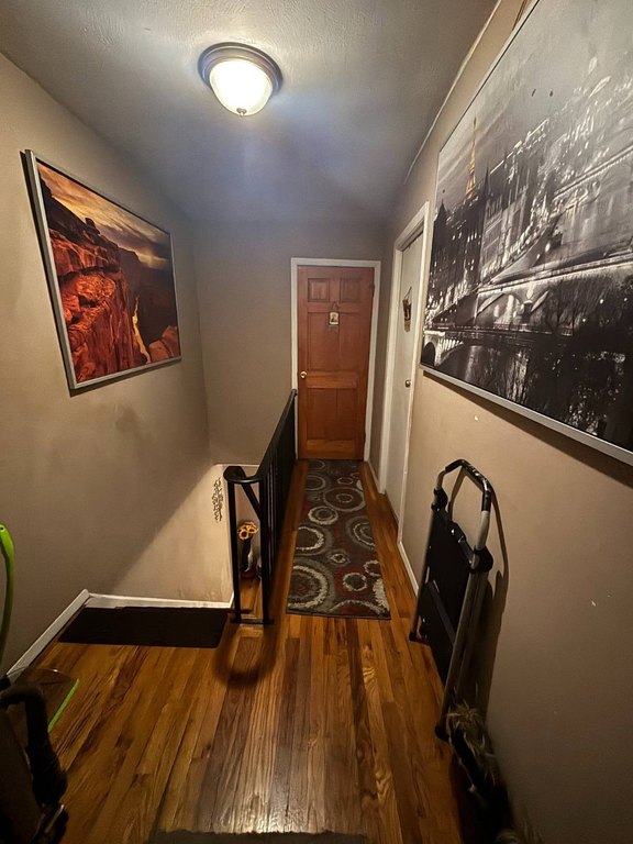Picture 12