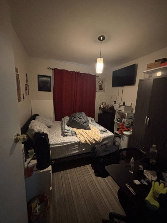 Picture 15