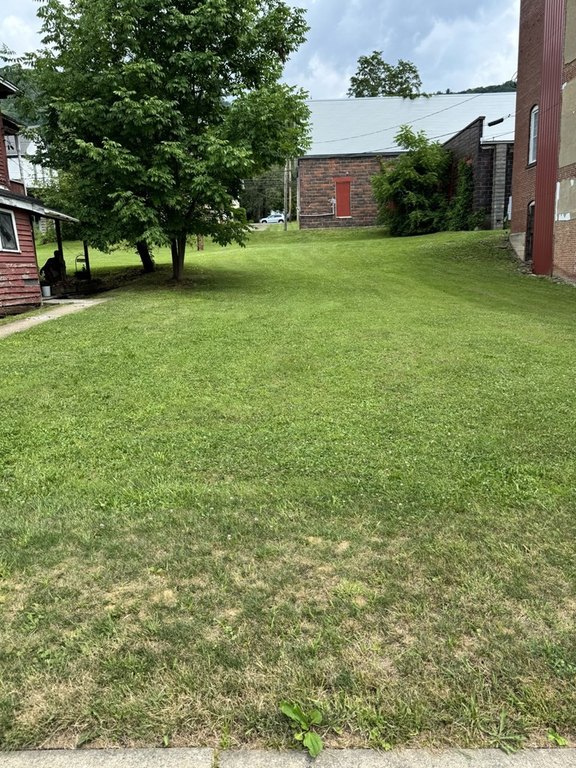 Picture 5