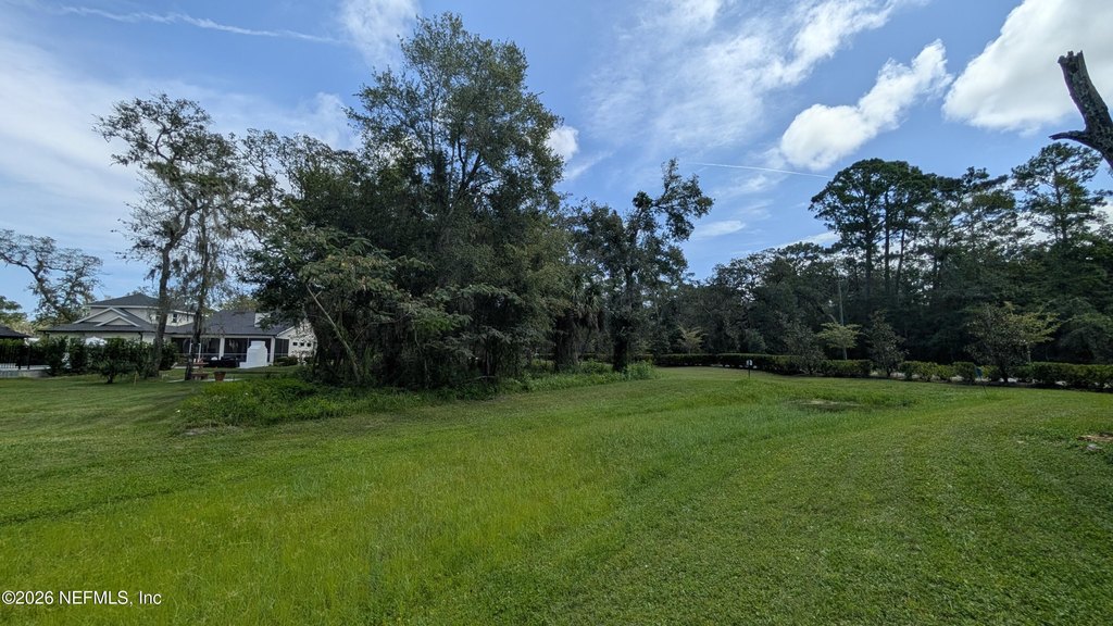 Picture 11
