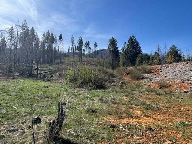 Greenville Commercial Land Opportunity
