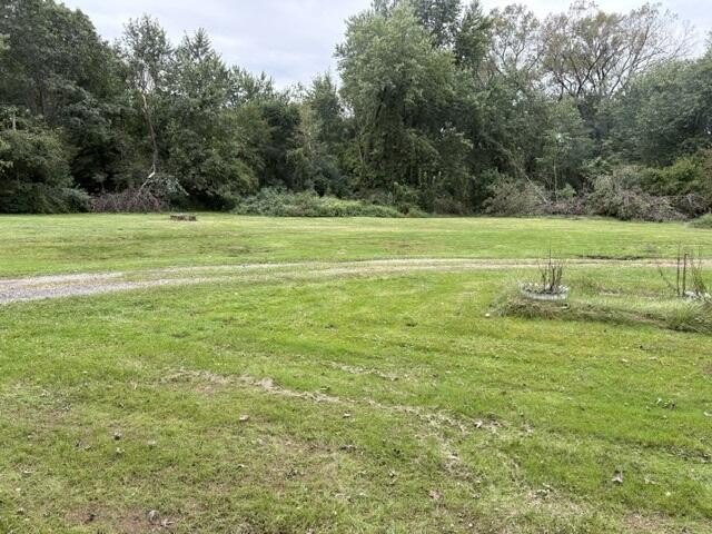 Picture 2
