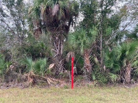 Residential Land in Port Charlotte