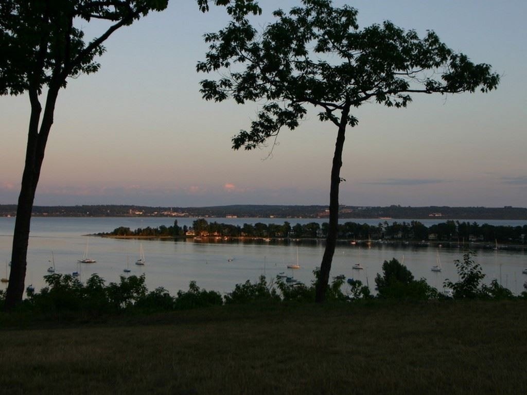 Picture 11