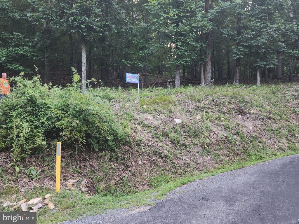 Picture 4