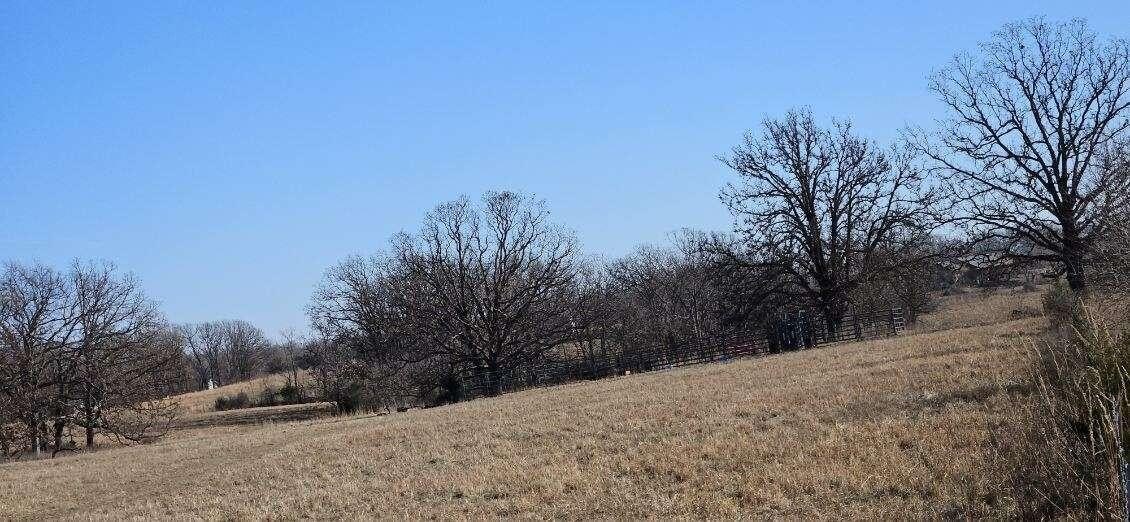 Stockton, MO Land Opportunity