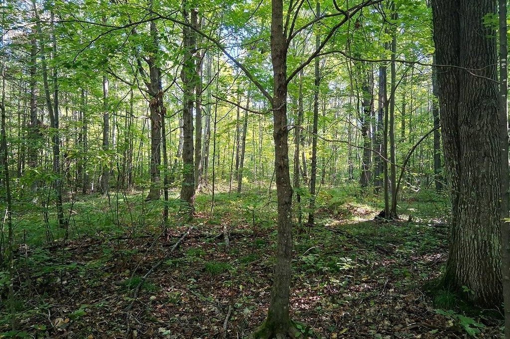 Picture 7