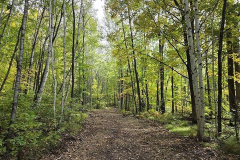Land, Crandon, WI