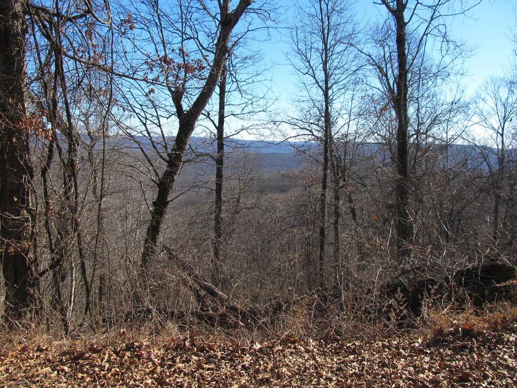 Picture 4