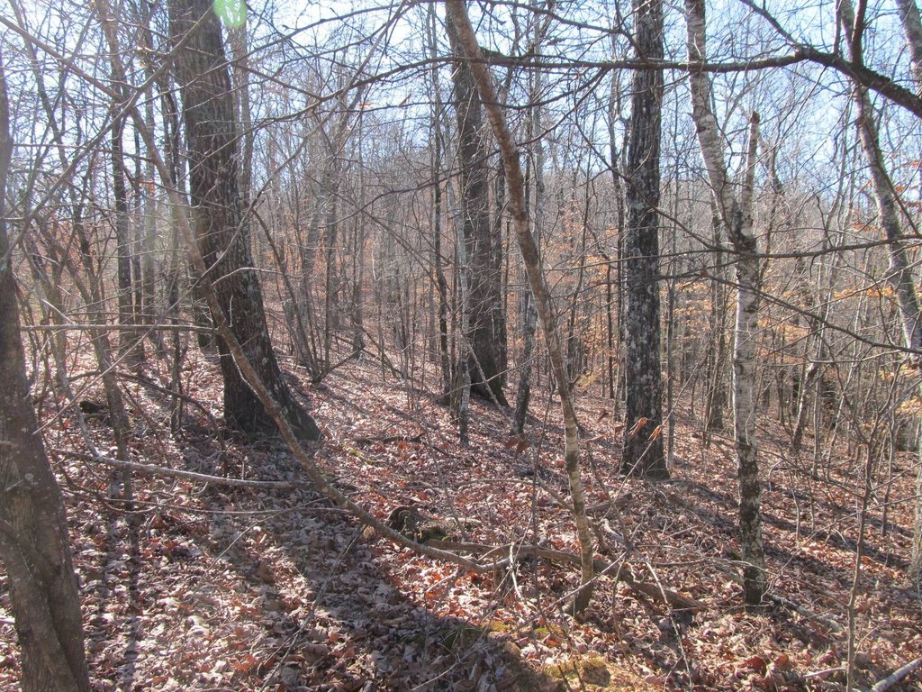 Picture 10
