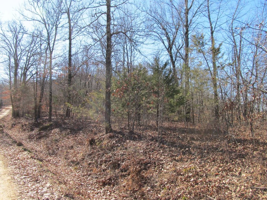 Picture 8