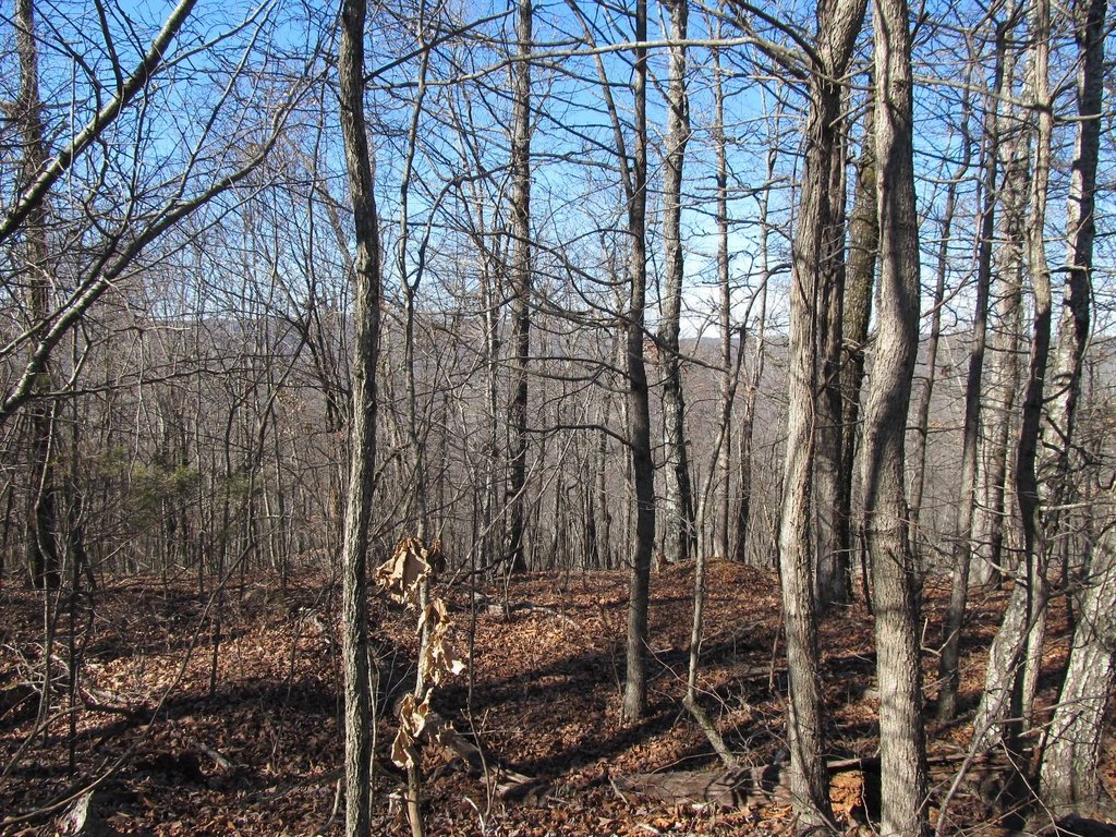 Picture 9