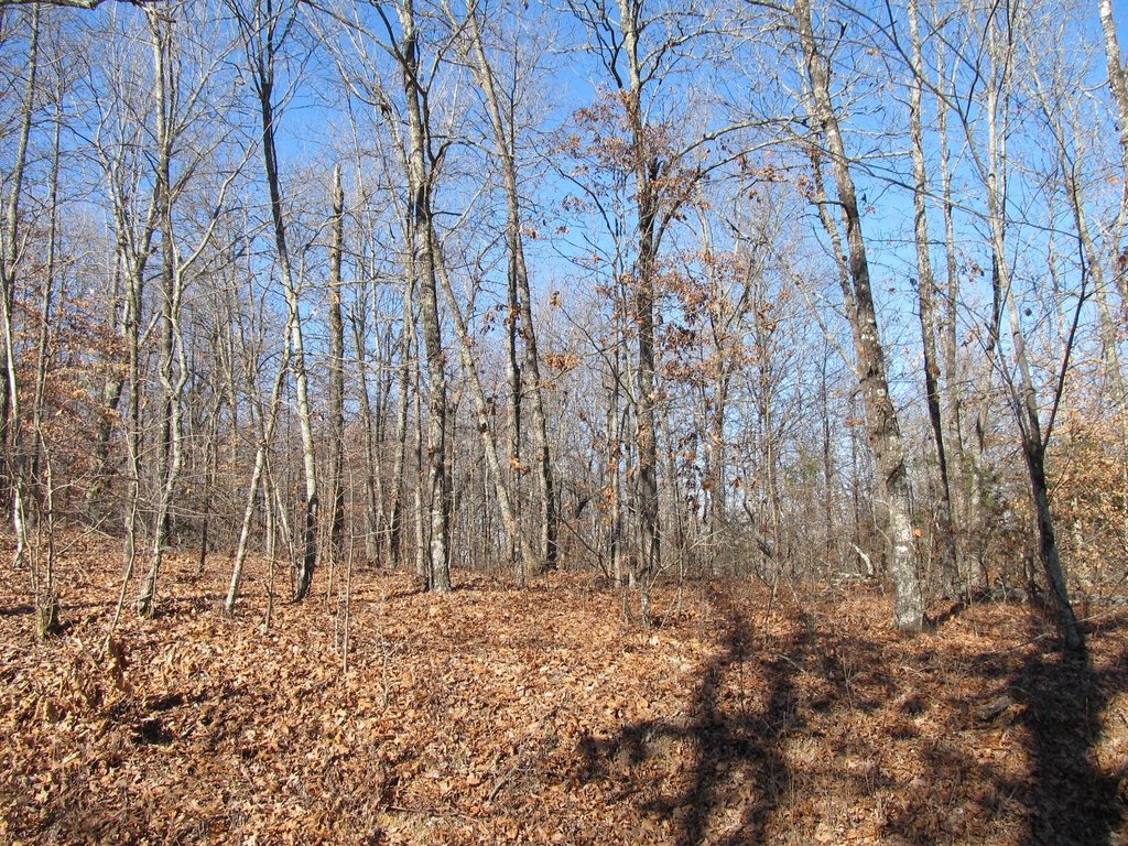 Picture 7