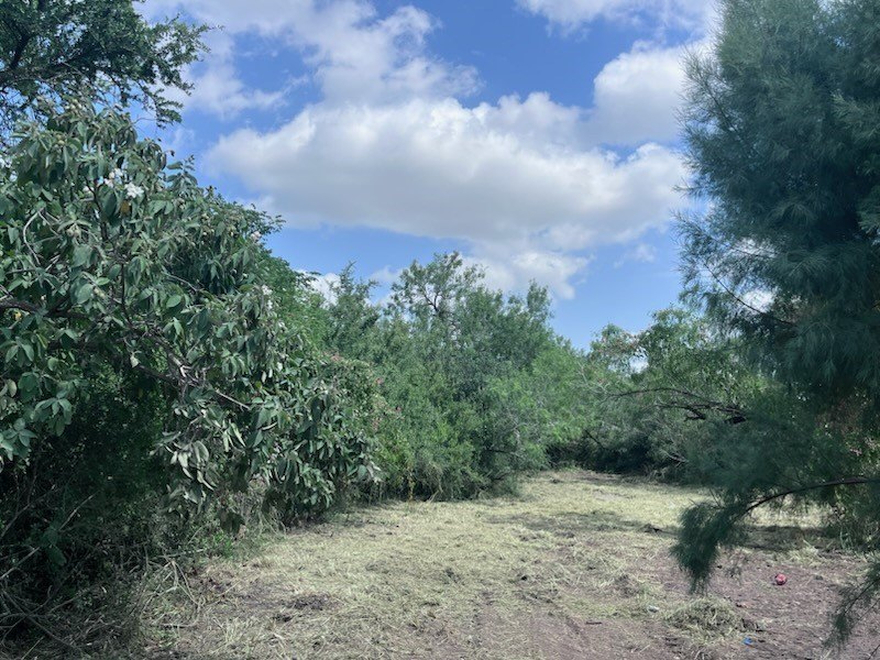 Picture 4