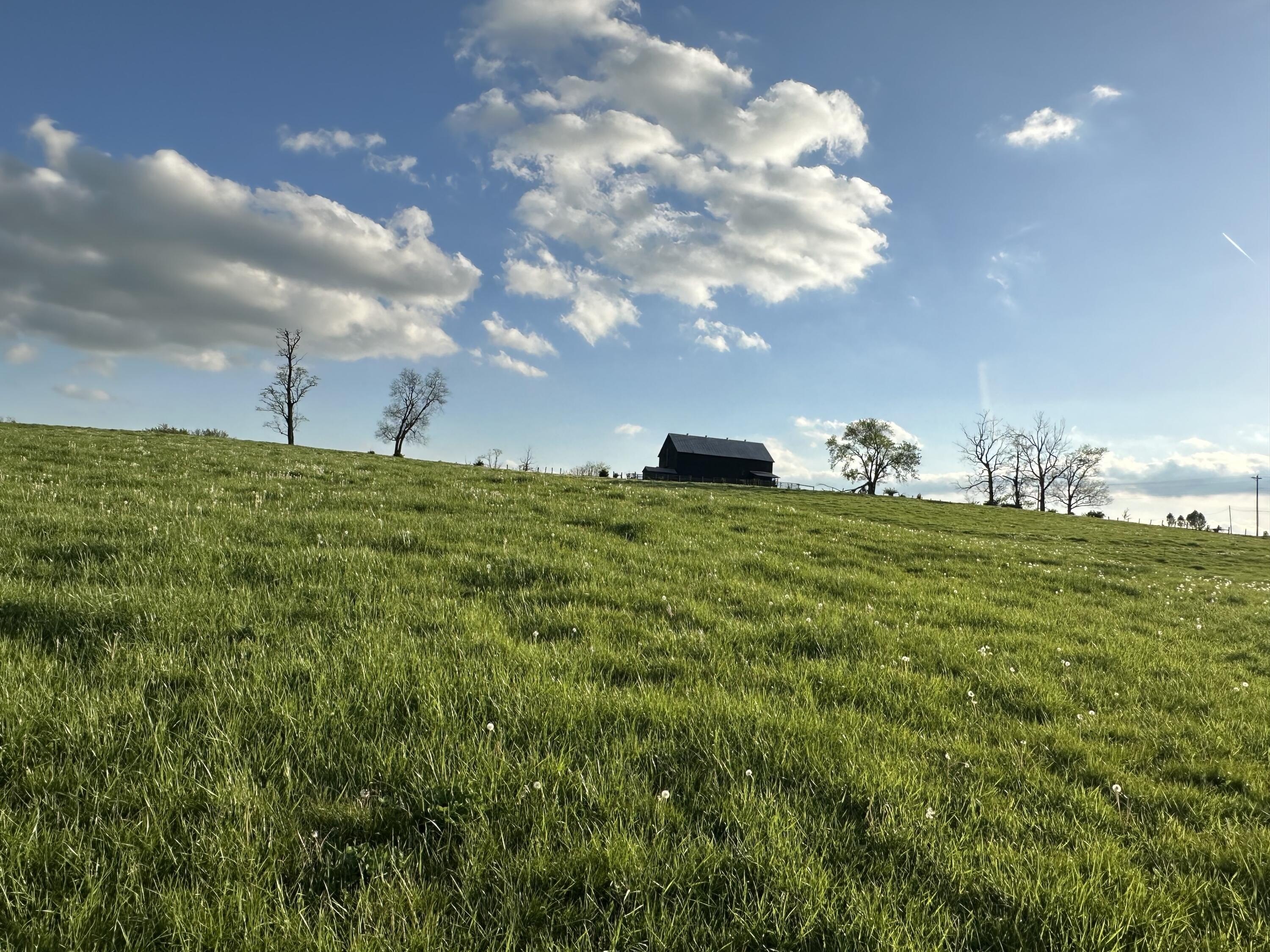 Georgetown Land Near Toyota