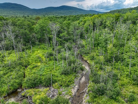 Land For Sale in Weld