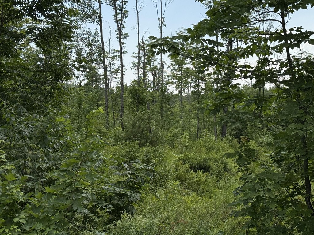 Picture 17