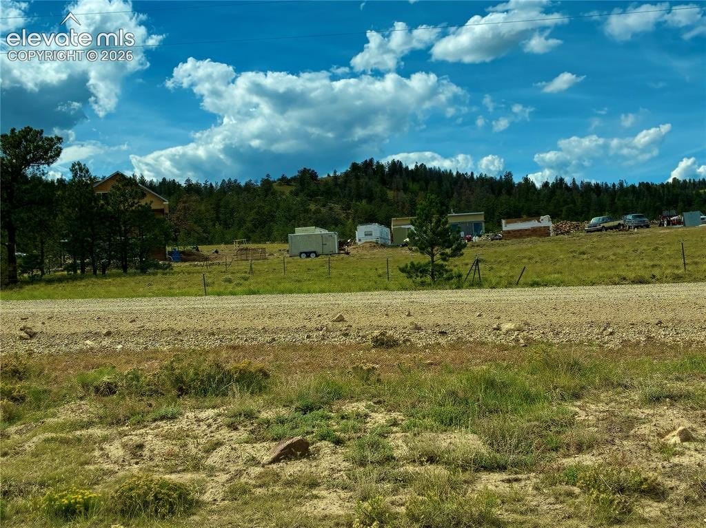 Picture 29