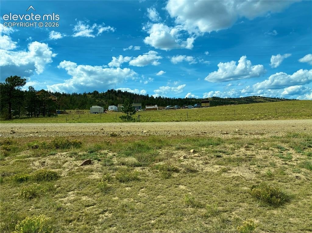 Picture 27