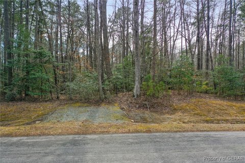 Water Access Wooded Lot