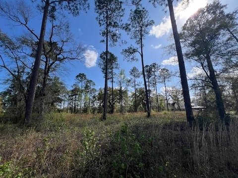 Marsh Front Homesite Opportunity