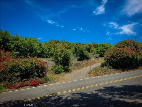 Producing Avocado Grove with Panoramic Views