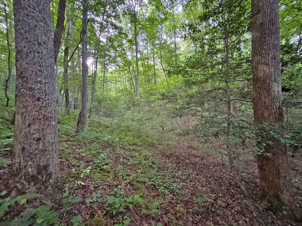 Picture 25