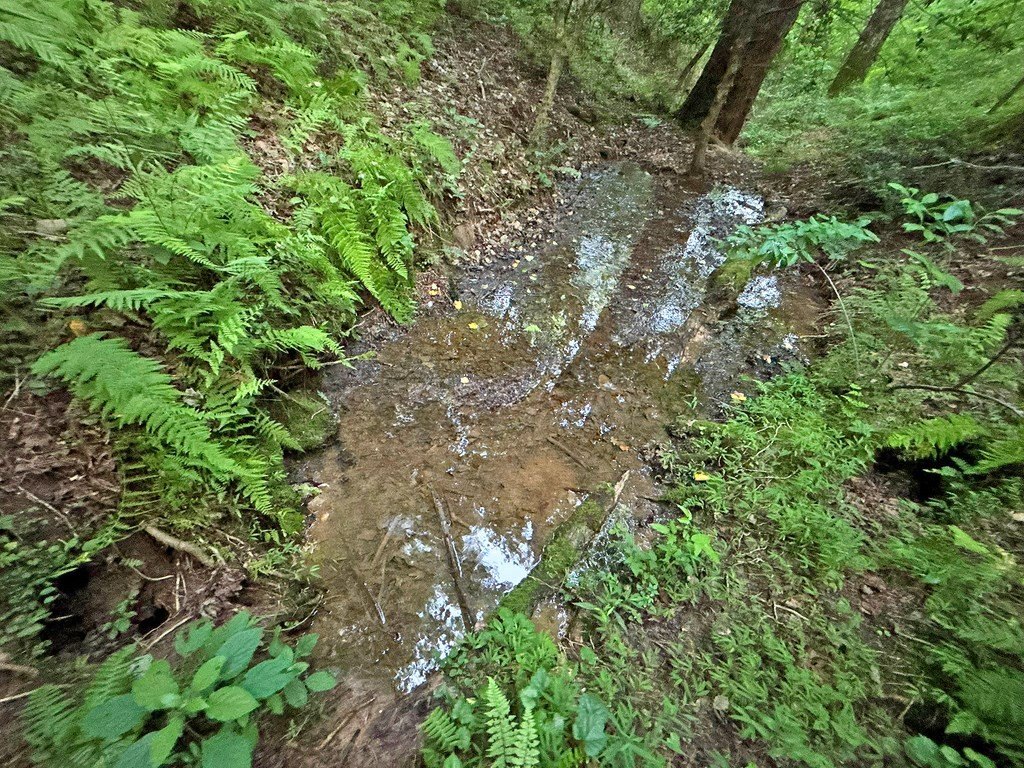 Picture 13