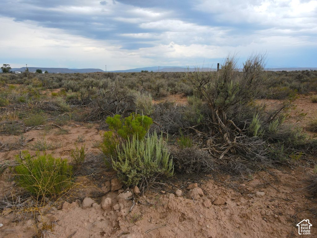 Picture 29